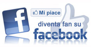 Facebook fan Mi Piace